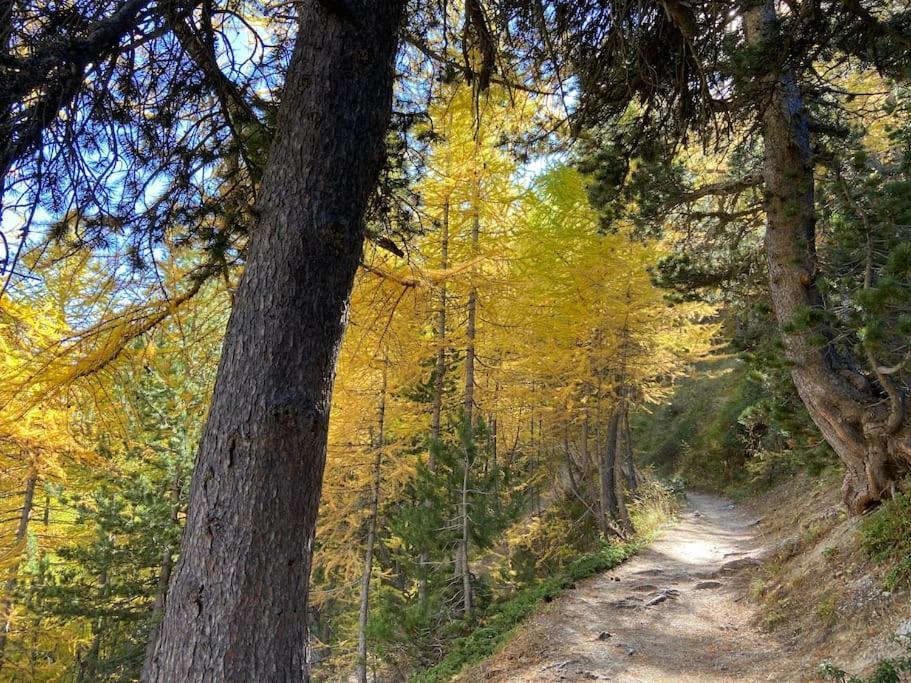 Relax In Montagna Daire Bardonecchia Dış mekan fotoğraf