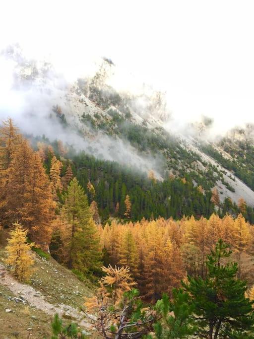Relax In Montagna Daire Bardonecchia Dış mekan fotoğraf